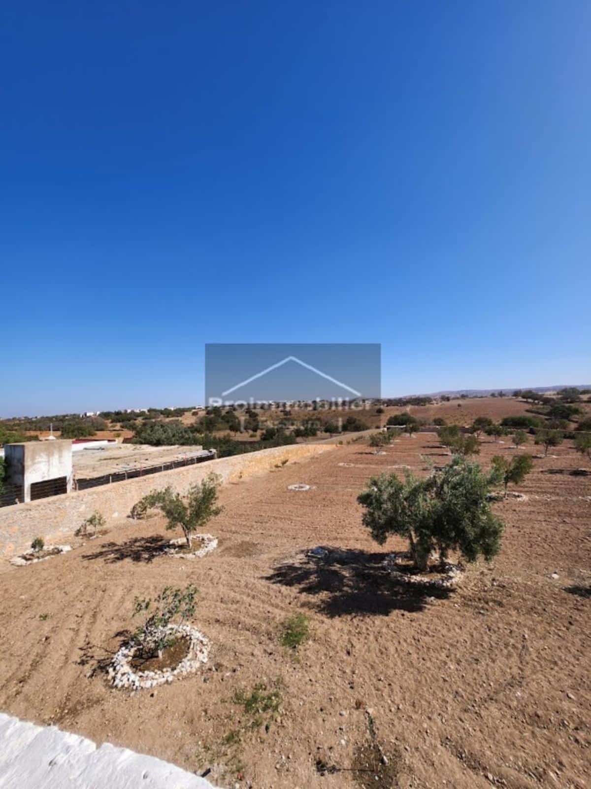 Belle Maison de 140 m² en campagne à vendre à Essaouira Terrain 7500 m² sans AVNA
