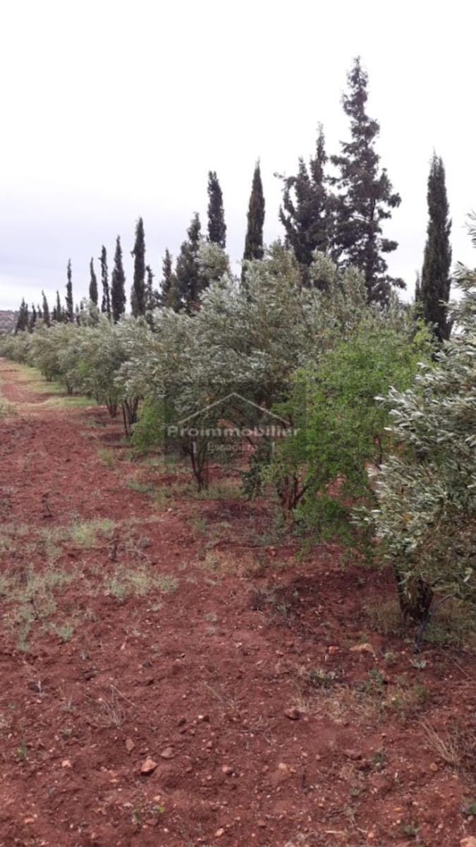 Maison de campagne à vendre à Essaouira 320 m² Terrain 5915m² sans avna