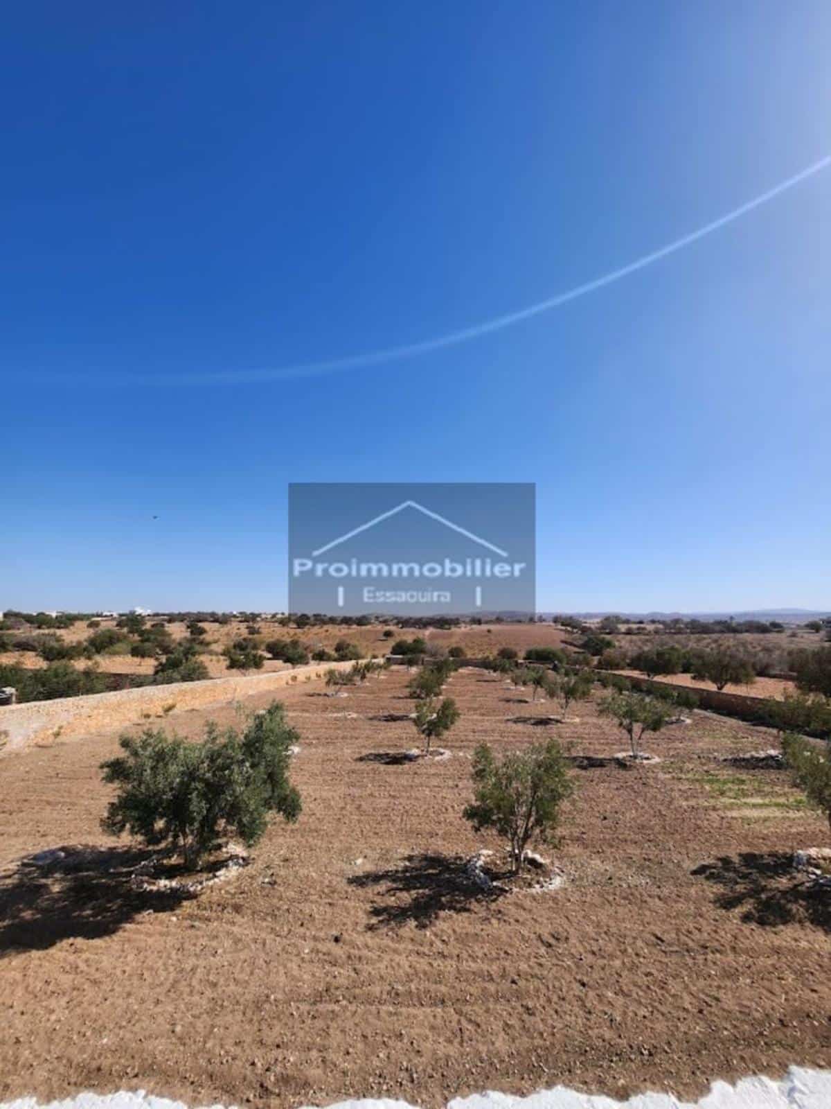 Belle Maison de 140 m² en campagne à vendre à Essaouira Terrain 7500 m² sans AVNA