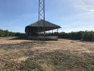 Hacienda ALCALA DEGUADAIRA – Espagne-Andalousie