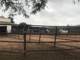 Hacienda Alcala de Guadaira – Spain -Andalusia