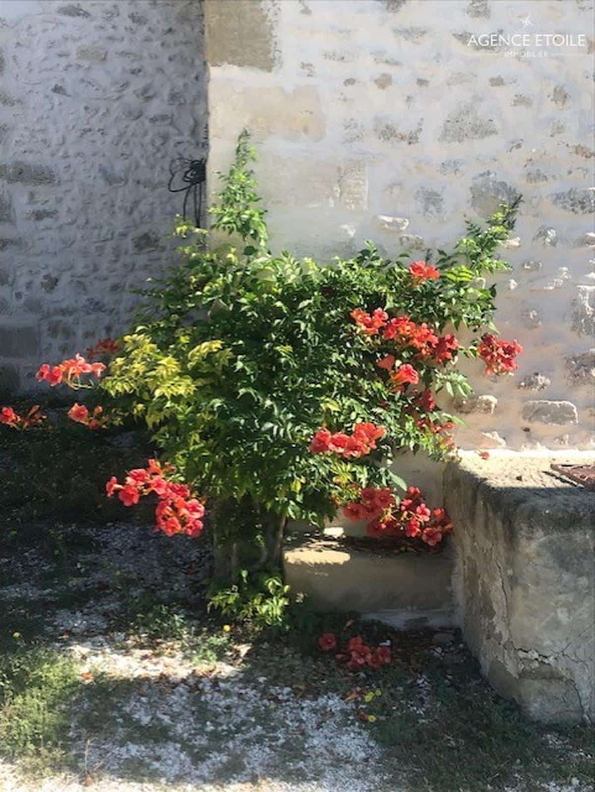 Mas provençal Alpilles