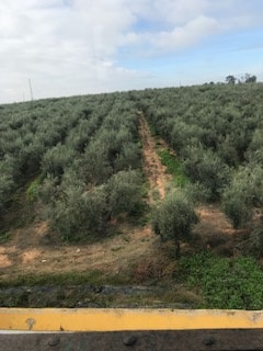 Hacienda ALCALA DEGUADAIRA – Espagne-Andalousie